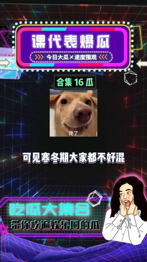 娱乐八卦吃瓜了,揭秘吃瓜文化的兴起与影响