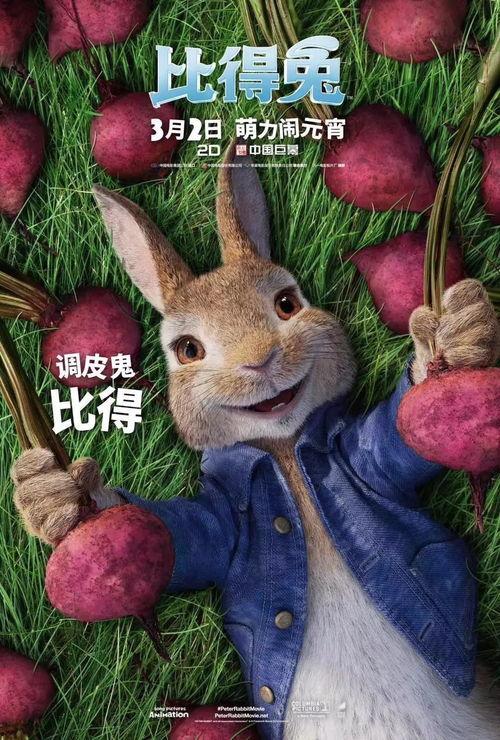 娱乐吃瓜兔子视频下载,揭秘热门视频下载攻略
