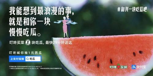 娱乐圈文案吃瓜,揭秘明星们的“吃瓜”大作战
