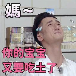 吃瓜娱乐图片表情包,吃瓜表情包带你领略欢乐时光