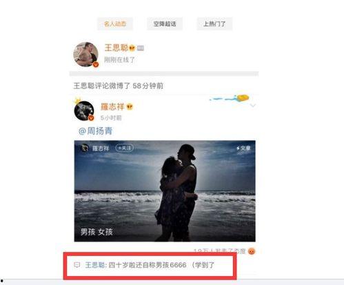 娱乐吃瓜起网络名字,揭秘明星幕后故事