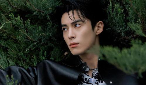 王鹤棣娱乐吃瓜大爆料,娱乐圈幕后那些不为人知的秘密