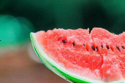 娱乐吃瓜君小麦